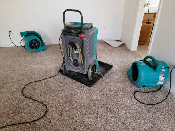 Best 24-hour water damage restoration  in West Liberty, WV