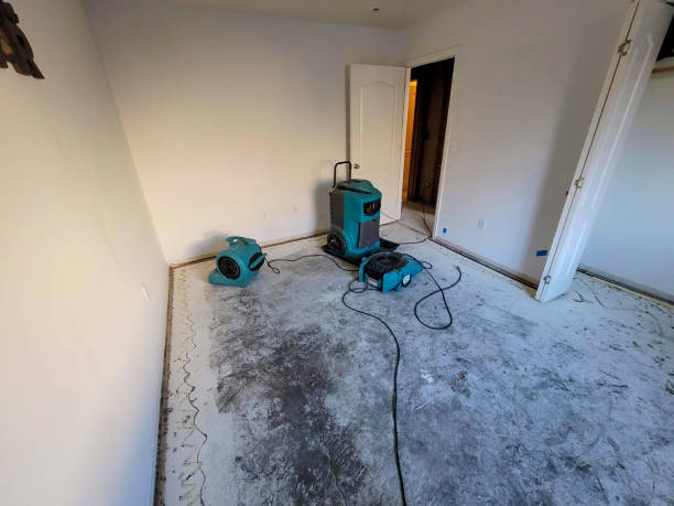 Best Water damage restoration near me  in West Liberty, WV