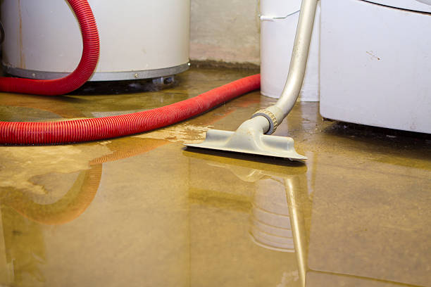 Best Professional water damage repair  in West Liberty, WV