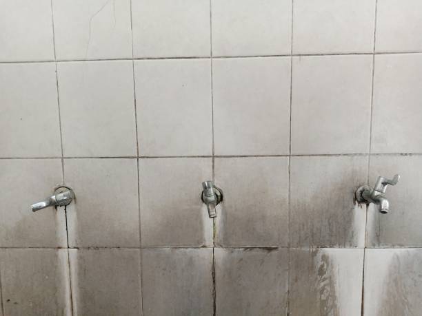 Best Water damage cleanup near me  in West Liberty, WV