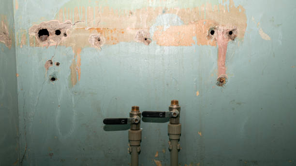  West Liberty, WV Water damage restoration Pros