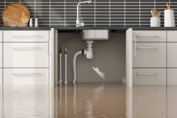 Best Sewage cleanup and water damage restoration  in West Liberty, WV