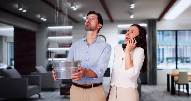 Best Water damage contractors near me  in West Liberty, WV