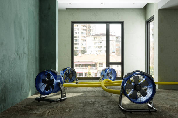 Best Fire Damage Restoration  in West Liberty, WV
