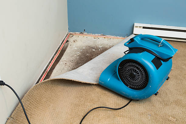 Best Basement water damage restoration  in West Liberty, WV